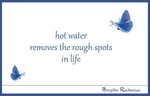 BRpoetry @ Birgitta Rudenius