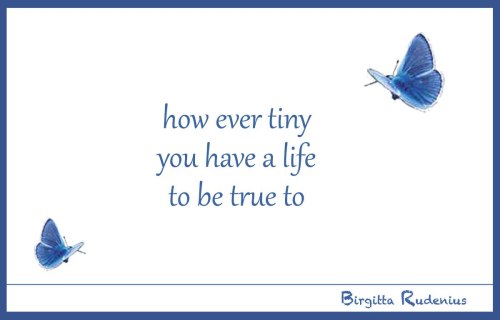 BRpoetry @ Birgitta Rudenius