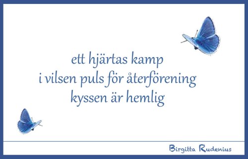BRpoetry @ Birgitta Rudenius