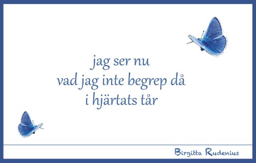BRpoetry @ Birgitta Rudenius