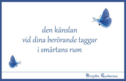 BRpoetry @ Birgitta Rudenius