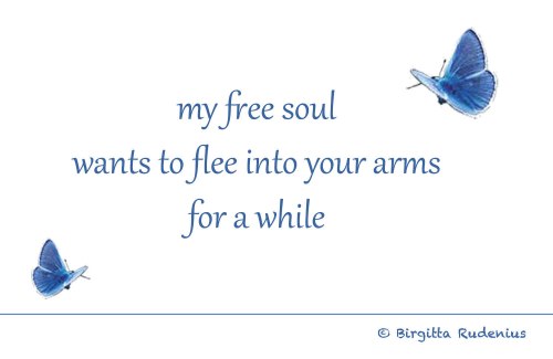 BRpoetry © Birgitta Rudenius