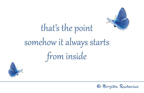 BRpoetry © Birgitta Rudenius