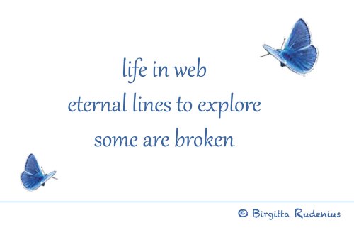 BRpoetry © Birgitta Rudenius