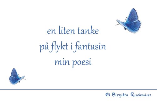 BRpoetry © Birgitta Rudenius