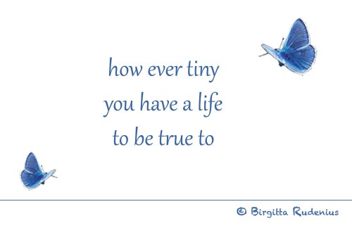 BRpoetry © Birgitta Rudenius