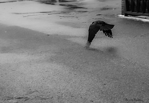 Photo @ Birgitta Rudenius