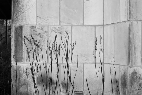 Photo @ Birgitta Rudenius